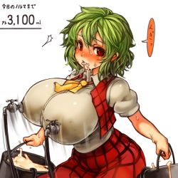  1girl before_and_after belly breast_milk breasts faucet female_focus green_hair holding huge_breasts kazami_yuuka lactation lactation_through_clothes looking_at_viewer milk perky_breasts plaid plaid_vest plump red_eyes sachito solo touhou vest  rating:Questionable score:43 user:danbooru