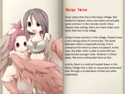 character_profile harpy mon-musu_quest! monster_girl tagme text_focus translated rating:Sensitive score:36 user:AmazingAmaya