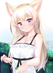  1girl absurdres animal_ear_fluff animal_ears bare_arms bare_shoulders blonde_hair blush bottle breasts brown_eyes cleavage collarbone commentary_request day dress fennec_(kemono_friends) fox_ears fox_girl frilled_dress frills highres holding holding_bottle kemono_friends kinou_no_shika long_hair looking_at_viewer medium_breasts outdoors parted_lips railing sleeveless sleeveless_dress solo upper_body  rating:Sensitive score:5 user:danbooru
