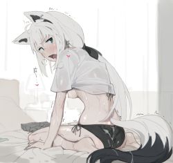  1girl ahoge animal_ears ass barefoot bed_sheet black_panties blush breasts clothes_lift commentary_request cum cum_on_clothes fox_ears fox_girl fox_tail from_behind green_eyes hair_between_eyes heavy_breathing highres hololive indoors kujira_pasta long_hair looking_at_viewer looking_back nipples on_bed open_mouth panties pillow shirakami_fubuki shirt short_sleeves shorts side-tie_panties sitting small_breasts solo sweat tail trembling underwear unworn_shorts virtual_youtuber white_hair white_shirt  rating:Explicit score:251 user:danbooru