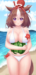  1girl :3 ahoge alternate_costume animal_ears bare_shoulders beach bikini blue_sky blush bow breasts brown_hair cleavage cloud cloudy_sky collarbone commentary_request cowboy_shot crab ear_ribbon food fruit hair_between_eyes hairband highres holding_watermelon large_breasts looking_at_viewer meisho_doto_(umamusume) multicolored_hair ocean octopus outdoors parted_lips pink_hairband purple_eyes purple_ribbon ribbon rion-magunas sand short_hair sky solo starfish streaked_hair swimsuit thigh_gap umamusume water watermelon white_bikini white_hair 