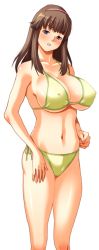 1girl bikini breasts dead_or_alive g_kilo-byte hitomi_(doa) large_breasts saberfish simple_background solo swimsuit tecmo rating:Questionable score:16 user:jojosstand
