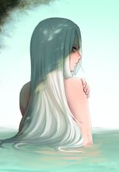  1girl andrea_vaeyl commentary dappled_sunlight english_commentary from_behind hair_over_one_eye highres long_hair looking_to_the_side nude original partially_submerged razalor solo sunlight water wet white_hair yellow_eyes  rating:Sensitive score:25 user:danbooru