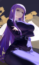  1girl absurdres belt breasts closed_mouth crossed_arms dress fern_(sousou_no_frieren) frown highres large_breasts long_hair long_sleeves looking_at_viewer looking_down meinoss purple_dress purple_eyes purple_hair shaded_face sitting solo sousou_no_frieren turtleneck  rating:General score:17 user:danbooru