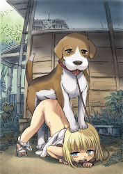  1girl :d beagle bestiality blonde_hair blue_eyes blunt_bangs blush bottomless cat clothed_sex clothes_lift collar commentary_request dog doggystyle dress dress_lift grass hand_on_head hand_to_own_mouth happy_sex holding house ike_(altitude_attitude) leash loli looking_back moaning on_ground open_mouth original outdoors panties panties_around_leg sandals sex sex_from_behind short_hair smile sweat tears tongue top-down_bottom-up underwear white_panties  rating:Explicit score:920 user:danbooru