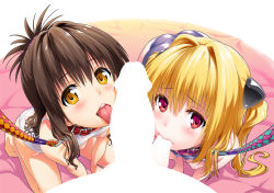  1boy 2girls all_fours arm_support bdsm biting_testicles blonde_hair blush breastless_clothes breasts brown_hair censored collar cooperative_fellatio fellatio ffm_threesome foreshortening group_sex hetero highres konjiki_no_yami leash loli long_hair multiple_girls nipples non-web_source one-piece_swimsuit open_mouth oral penis pov red_eyes school_swimsuit shin_(sin-maniax) slave small_breasts smile swimsuit teamwork testicles threesome to_love-ru tongue tongue_out very_long_hair viewer_holding_leash yellow_eyes yuuki_mikan 