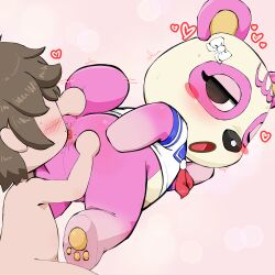  1boy 1girl :o absurdres anal anilingus animal_crossing animal_ears animal_feet animal_nose anus ass ass_grab bear_ears bear_girl bear_tail black_eyes blue_sailor_collar blush blush_stickers body_fur bow brown_hair chibi clitoris clothed_female_nude_male crop_top faceless faceless_male flat_chest from_behind furry furry_female furry_with_non-furry hair_bow half-closed_eyes hand_on_own_ass heart hetero highres interspecies looking_at_another looking_back messy_hair neckerchief nintendo nude open_mouth pawpads pink_background pink_fur pinky_(animal_crossing) pussy_juice red_leopard red_neckerchief sailor_collar saliva school_uniform serafuku shirt short_hair short_sleeves short_tail sidelocks sweat tail tail_wagging tongue tongue_out top-down_bottom-up trembling two-tone_fur uncensored villager_(animal_crossing) white_bow white_fur white_shirt 