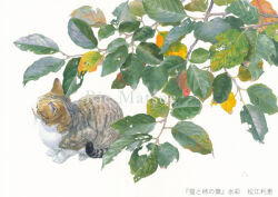  animal animal_focus branch cat leaf looking_to_the_side no_humans original painting_(medium) plant realistic rie_matsue traditional_media watercolor_(medium) 