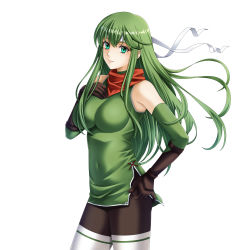  1girl absurdres breasts closed_mouth covered_navel elbow_gloves fire_emblem fire_emblem:_mystery_of_the_emblem gloves green_eyes green_hair headband highres long_hair nintendo palla_(fire_emblem) pantyhose red_scarf scarf simple_background sleeveless solo tamamon white_background white_headband 