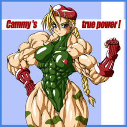  abs cammy_white capcom extreme_muscles fingerless_gloves gloves lowres muscular purukogi_(plasma_beach) street_fighter  rating:Questionable score:17 user:spiderzombie