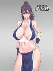  1girl areola_slip bad_id bad_pixiv_id bare_shoulders blush breasts brown_eyes brown_hair contrapposto covered_erect_nipples curvy fatal_fury fingerless_gloves gloves hand_on_own_hip high_ponytail highres hip_focus huge_breasts impossible_clothes lips loincloth midriff navel ninja no_panties pelvic_curtain sagging_breasts sarashi see-through shiny_skin shiranui_mai sideboob snk solo standing tetsu_(suchiiru_mania) the_king_of_fighters  rating:Questionable score:38 user:danbooru