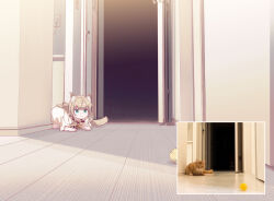  1girl 40hara animal_collar animal_ear_fluff animal_ears aqua_eyes barefoot blonde_hair blunt_bangs bottomless cat_ears cat_girl cat_tail closed_mouth collar creature_and_personification indoors kinako_(40hara) long_hair messy_hair motion_blur on_floor open_door original oversized_clothes oversized_shirt photo_inset pouncing red_collar reference_inset shirt solo t-shirt tail white_shirt wooden_floor yarn yarn_ball 
