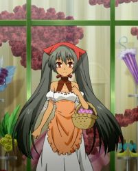  1girl anya_(seikoku_no_dragonar) apron basket black_hair dark-skinned_female dark_skin flower maid_apron red_eyes seikoku_no_dragonar twintails 