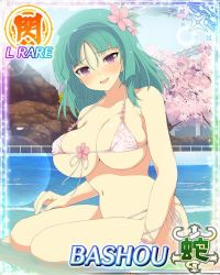 10s bashou_(senran_kagura) breasts card_(medium) large_breasts senran_kagura rating:Questionable score:27 user:perv-super