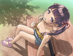  1girl bare_shoulders bench blush breasts exhibitionism grin helpig loli long_hair looking_at_viewer nipples original outdoors public_indecency purple_eyes purple_hair sandals shiny_hair shorts silhouette sitting small_breasts smile solo twintails  rating:Questionable score:222 user:danbooru