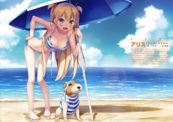  1girl :d absurdres alice_third_macy animal bare_legs barefoot beach beach_umbrella bent_over bikini blonde_hair blue_eyes blush breasts cleavage clothed_animal collarbone day dog front-tie_top full_body halterneck hand_on_own_hip highres huge_filesize kantoku koi_suru_kanojo_no_bukiyou_na_butai lens_flare long_hair looking_at_viewer medium_breasts navel open_mouth outdoors pigeon-toed side-tie_bikini_bottom smile solo standing string_bikini striped_bikini striped_clothes swimsuit two_side_up umbrella very_long_hair  rating:Sensitive score:27 user:danbooru