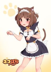  1girl :3 absurdres animal_ear_fluff animal_ears apron azuki_(nekopara) bell black_dress blunt_bangs blush breasts brown_hair cat_ears cat_tail cleavage cleavage_cutout clothing_cutout commentary copyright_name dress fang feet_out_of_frame frilled_dress frills hair_ribbon hands_up highres jingle_bell looking_at_viewer maid maid_headdress matcha_amigo medium_hair neck_bell nekopara open_mouth paw_pose paw_print puffy_short_sleeves puffy_sleeves ribbon short_dress short_eyebrows short_sleeves simple_background slit_pupils small_breasts smile solo standing tail tail_raised tongue two_side_up v-shaped_eyebrows waist_apron waitress white_apron white_background white_ribbon 