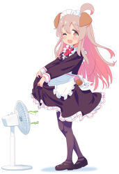 1girl ;d absurdres ahoge animal_ears apron black_dress black_footwear black_pantyhose blush bone_necklace bow bowtie brown_eyes clothes_grab clothes_lift colored_inner_hair dog_ears dress dress_lift electric_fan fake_animal_ears frilled_apron frilled_dress frills full_body genderswap genderswap_(mtf) grey_hair hair_between_eyes highres long_hair looking_at_viewer maid maid_apron maid_headdress mary_janes medium_dress multicolored_hair one_eye_closed onii-chan_wa_oshimai! open_mouth oyama_mahiro pantyhose pink_hair red_bow red_bowtie shiina_excel shoes simple_background sleeve_cuffs smile solo standing white_apron white_background