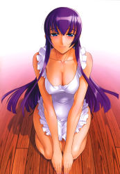 1girl absurdres apron blue_eyes breasts busujima_saeko cleavage covered_erect_nipples frills highres highschool_of_the_dead large_breasts legs long_hair nail_polish naked_apron purple_hair satou_shouji seiza sitting smile solo rating:Questionable score:79 user:danbooru