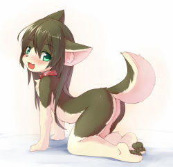  1girl all_fours animal_ears animal_hands ass barefoot bed bent_over blush collar fang feet furry furry_female green_eyes green_hair grey_hair kagerofu loli long_hair looking_at_viewer matching_hair/eyes nude open_mouth original pawpads sidelocks smile soles solo tail toes wolf wolf_ears wolf_tail  rating:Questionable score:292 user:Mast3r_Ch33f