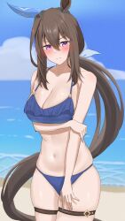  1girl absurdres admire_vega_(umamusume) alternate_costume animal_ears arm_under_breasts bare_shoulders beach bikini blue_bikini blue_sky blush breasts brown_hair cleavage closed_mouth cloud cloudy_sky commentary_request day ear_covers frilled_bikini frills hair_between_eyes highres holding_own_arm horse_ears horse_girl horse_tail long_hair medium_breasts multiple_thigh_straps nanami_haru navel ocean outdoors ponytail purple_eyes sand single_ear_cover sky solo swimsuit tail umamusume very_long_hair water 