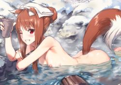  1girl alternate_hairstyle animal_ears ass bent_over blush breasts brown_hair bucket cup female_focus grin hair_bun hair_up highres holo kawakami_rokkaku looking_at_viewer nipples non-web_source nude one_eye_closed onsen partially_submerged red_eyes reflection rock sidelocks single_hair_bun skinny slender small_breasts smile snow solo spice_and_wolf steam tail towel towel_on_head water wolf_ears wolf_tail  rating:Questionable score:230 user:danbooru