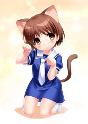  1girl animal_ear_fluff animal_ears blue_dress blush brown_eyes brown_hair brown_tail cat_ears cat_girl cat_tail child clannad commentary_request dress eyes_visible_through_hair full_body hair_between_eyes hands_up head_tilt kneeling looking_at_viewer necktie no_shoes okazaki_ushio one-hour_drawing_challenge parted_lips paw_pose puffy_short_sleeves puffy_sleeves sailor_collar school_uniform short_dress short_hair short_sleeves simple_background socks solo straight-on tail white_necktie white_sailor_collar white_socks yellow_background zen_(kamuro)  rating:General score:2 user:danbooru