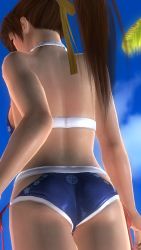  ass bikini dead_or_alive highres kasumi_(doa) swimsuit  rating:Questionable score:10 user:NaturalHigh5