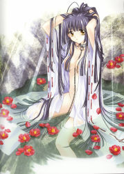 00s 1girl blue_hair breasts brown_eyes carnelian cleavage collar japanese_clothes kao_no_nai_tsuki leash long_hair medium_breasts solo water wet wet_clothes rating:Questionable score:5 user:danbooru