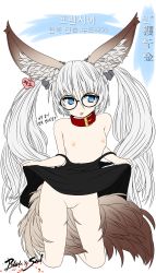 10s 1girl animal_ear_fluff animal_ears blade_&amp;_soul blue_eyes collar copyright_name flat_chest glasses highres korean_text long_hair looking_at_viewer lyn_(blade_&amp;_soul) nipples pussy rjehf solo tail translation_request twintails uncensored very_long_hair rating:Explicit score:26 user:danbooru
