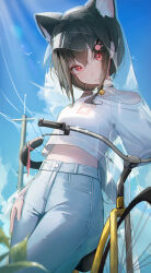  absurdres animal_ears bell bicycle bird black_collar black_hair blue_shirt blue_sky blurry blurry_foreground cat_ears cat_girl closed_mouth cloud cloudy_sky collar day e_name eyelashes hair_between_eyes hair_ornament hairpin hand_on_own_thigh highres hood hood_up leaf lips long_hair looking_at_viewer low-tied_long_hair monster_girl neck_bell no_navel original outdoors power_lines raincoat red_eyes see-through see-through_coat shirt sidelocks single_bare_shoulder sky sparkle standing sunlight transmission_tower wheel white_bird white_shirt 