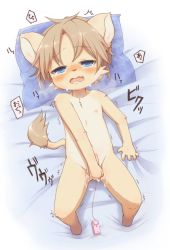  1boy animal_ears blue_eyes blush body_fur brown_hair drooling furry furry_male highres hithop lion_ears lion_tail lying male_focus masturbation nipples nude on_back on_bed open_mouth original penis pillow remote_control_vibrator sex_toy short_hair shota solo tail tears testicles vibrator vibrator_cord  rating:Explicit score:98 user:Dweenie