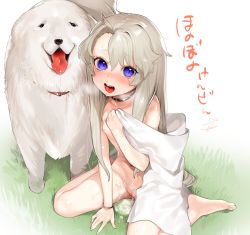 1girl aftersex bad_id bad_twitter_id barefoot blue_eyes bracelet breasts cleft_of_venus collar cum cum_pool dog feet grey_hair herme_(ohisashiburi) highres implied_bestiality jewelry loli long_hair looking_at_viewer nipples nude ohisashiburi open_mouth pussy signature simple_background sitting small_breasts solo tears translation_request wariza white_background rating:Explicit score:91 user:danbooru