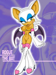  breasts cleft_of_venus artistic_error furry nude pussy rouge_the_bat sonic_(series) typo uncensored  rating:Explicit score:25 user:blue_elf