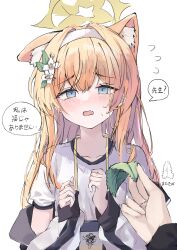 1boy 1girl absurdres animal_ears blue_archive blue_eyes blush cat_ears catnip check_translation fang hairband halo highres kucu leaf long_hair mari_(blue_archive) orange_hair sensei_(blue_archive) skin_fang speech_bubble translation_request upper_body white_background 