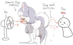  1girl animal_ear_fluff animal_ears ass blush breasts closed_eyes dog_(mixed_breed)_(kemono_friends) dog_ears dog_girl dog_tail elbow_gloves electric_fan english_text girlsmell_particles_(meme) gloves grey_hair highres kemono_friends medium_breasts meme multicolored_hair nanachii_(nanatidayo) open_mouth short_hair short_sleeves skirt smile tail tail_wagging two-tone_hair white_hair  rating:Sensitive score:27 user:danbooru