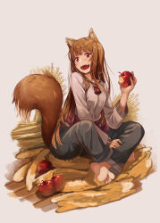  159cm 1girl animal_ears apple bitten_apple black_pants brown_hair fangs food food_bite fruit grey_shirt holding holding_food holding_fruit holo long_hair long_sleeves open_mouth pants pouch red_apple red_eyes shirt sitting solo spice_and_wolf tail wheat wolf_ears wolf_girl wolf_tail 