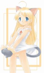  animal_ears blonde_hair blue_eyes bottomless cat_ears cat_tail cleft_of_venus copyright_request loli pussy tail tatata uncensored  rating:Explicit score:40 user:potatoninja