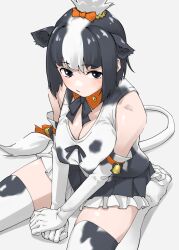  1girl animal_ears animal_print bell black_eyes black_hair bow breasts commentary cow_ears cow_girl cow_print cow_tail elbow_gloves extra_ears frills gloves grey_background hairband highres holstein_friesian_cattle_(kemono_friends) kemono_friends large_breasts looking_at_viewer multicolored_hair print_gloves print_thighhighs seiza short_hair simple_background sitting solo tail tail_bell tail_bow tail_ornament tanabe_(fueisei) thighhighs two-tone_hair white_hair zettai_ryouiki 