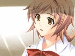  bow bowtie brown_eyes brown_hair jpeg_artifacts open_mouth red_bow red_neckwear short_hair  rating:Sensitive score:1 user:Hanabira
