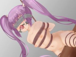 1girl arms_behind_back ball_gag bdsm blindfold blunt_bangs blush bondage bound bound_arms bound_legs breasts censored drooling female_focus flat_chest gag gagged hamuta_(machosbrown) highres indoors loli long_hair navel nude purple_hair pussy pussy_juice rope saliva small_breasts solo sophie_(tales) straddling tales_of_(series) tales_of_graces torture twintails wooden_horse rating:Explicit score:134 user:SITCTG