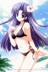  1girl absurdres bikini flower highres long_hair lyrical_lyric mikeou purple_eyes purple_hair sky solo swimsuit takami_rin  rating:Sensitive score:18 user:cynth