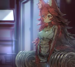  1girl abs animal_ear_fluff animal_ears animal_nose barbell bare_shoulders black_shorts blush breasts breath cleavage collarbone door exercising female_focus fox_ears fox_girl fox_tail furry furry_female groin highres holding indoors light_blush long_hair medium_breasts micro_shorts navel open_mouth orange_eyes original red_fur red_hair shorts sketch snout solo sports_bra stomach sweat tail toned two-tone_fur utta v-shaped_eyebrows weightlifting white_fur white_sports_bra  rating:Sensitive score:28 user:AngryZapdos
