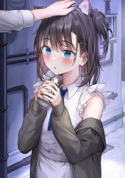 1girl 1other :o animal_ears apron bare_shoulders black_ribbon blue_eyes blue_neckwear blush brown_hair brown_jacket can collared_shirt colored_inner_hair commentary_request frilled_apron frills hair_ornament hair_ribbon headpat holding holding_can jacket long_sleeves multicolored_hair necktie off-shoulder_jacket off_shoulder one_side_up open_clothes open_jacket open_mouth original parted_lips plaid_neckwear rangu ribbon shirt sleeves_past_wrists solo_focus upper_body white_apron white_shirt wing_collar rating:Sensitive score:8 user:danbooru
