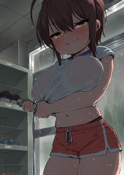  1girl :3 ahoge black_panties blush breasts brown_hair closed_mouth clothes_lift commentary_request covered_erect_nipples dolphin_shorts dot_nose drawstring ebisujima_misato gym_uniform hair_between_eyes highres indoors large_breasts lifted_by_self loli looking_at_viewer navel oppai_loli original panties panty_peek pantyslip rain red_shorts see-through see-through_shirt shirt shirt_lift short_hair short_shorts short_sleeves shorts smile solo standing takahashi_chiaki_(ebisujima_misato) thighs tomboy underwear wet wet_clothes wet_hair white_shirt wringing_clothes yellow_eyes  rating:Questionable score:128 user:danbooru
