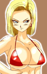   android_18 aqua_eyes bikini blonde_hair breasts dragon_ball dragonball_z earrings jewelry large_breasts lowres short_hair swimsuit   rating:Questionable score:13 user:royal_blue