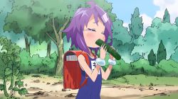  1girl animated backpack bag blush cucumber closed_eyes loli mana-chan_(namiuchigiwa_no_muromi-san) namiuchigiwa_no_muromi-san outdoors purple_hair randoseru saliva saliva_trail school_swimsuit sexually_suggestive short_hair solo standing swimsuit third-party_edit tongue video video  rating:Questionable score:213 user:omniguous