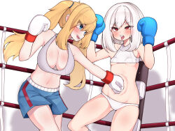 2girls boxing catfight multiple_girls punching ryona sm_th tagme
