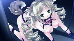 1girl all_fours anal_tail animal_ears barefoot bdsm bit_gag blonde_hair blush bondage bondage_mittens bone bound breasts brown_hair butt_plug collar cuffs dog_ears dog_tail drill_hair dutch_angle fake_animal_ears fake_tail female_focus full_body gag gagged game_cg green_eyes hairband harness highres hinata_mutsuki inui_chikami large_breasts leash long_hair looking_to_the_side mittens modern_drawing_style name_tag night nipples nose_blush on_ground outdoors parted_bangs paw_print pet_play public_indecency public_nudity puppy_lady quad_drills raised_eyebrows sex_toy shiny_skin slave softbook_poco_special solo sweat tail very_long_hair rating:Questionable score:95 user:danbooru