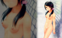 1girl black_hair breasts female_focus fence highres nipples nude solo standing twintails uncensored zoom_layer rating:Explicit score:17 user:AlmaNegra